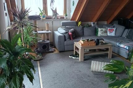 Exklusive 4 Zimmer Wohnung mit Einbauküche in Herrieden OT 4 zimmer