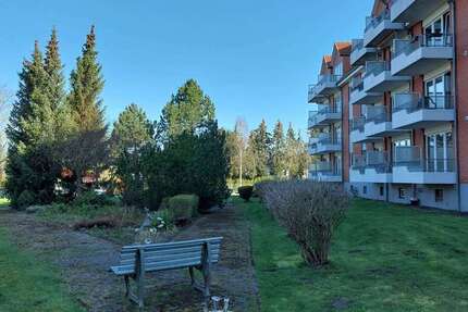 Wohnung Loitz - 2 Zimmer, 60 m&sup2;, 392&euro; | Angebot:26253033