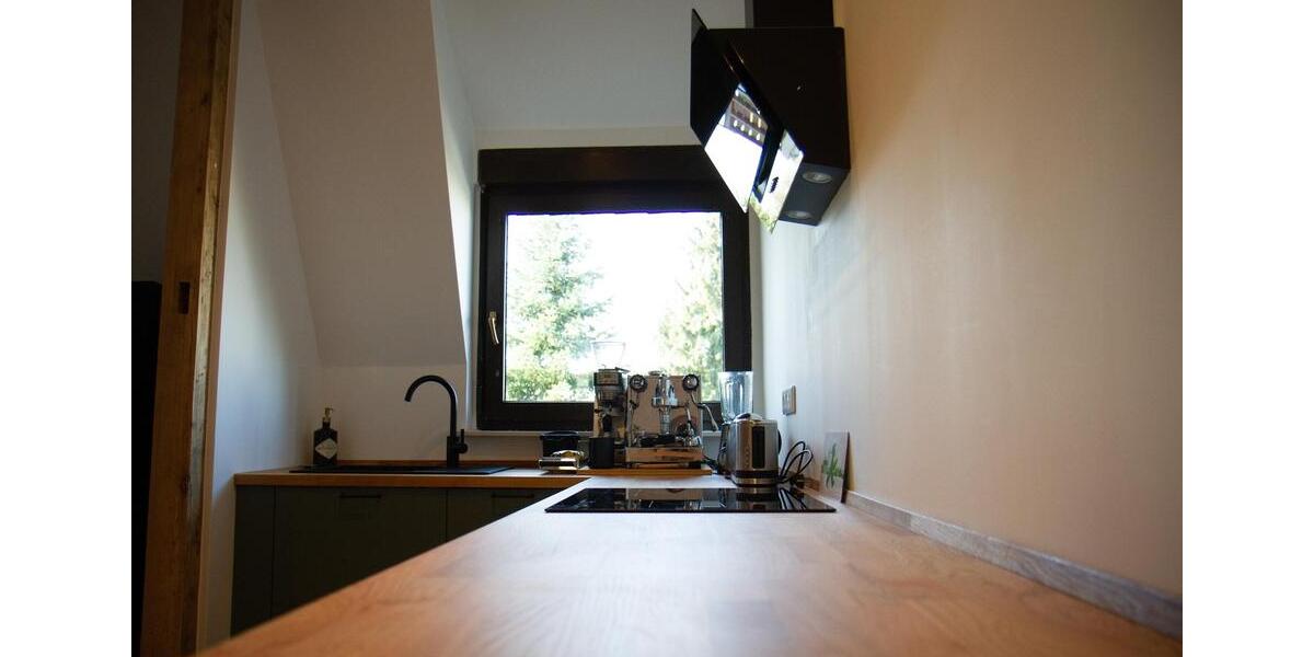 Charmanter Altbau – komplett möbliert & sofort bezugsbereit 2 zimmer