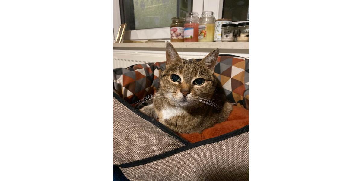 Wohnen auf Zeit Niederalteich - 4 Zimmer, 9 m&sup2;, 400&euro; | Angebot:23669774