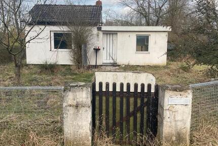 Wohnung Delmenhorst Deichhorst - 2 Zimmer, 40 m&sup2;, 300&euro; | Angebot:24538651