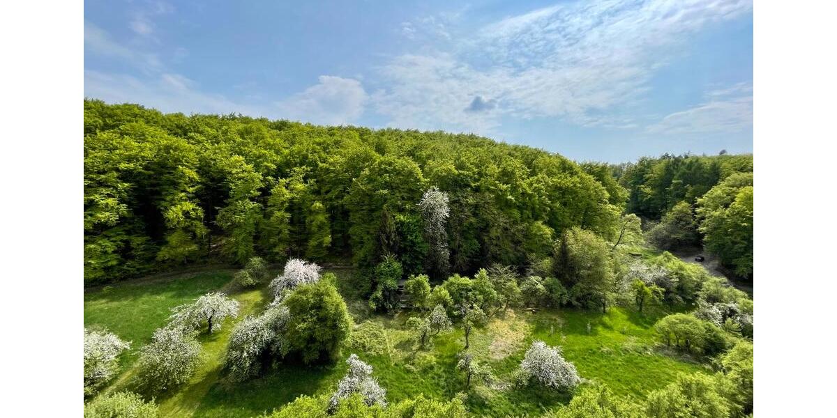 Wohnen auf Zeit Buseck - 1.5 Zimmer, 47 m&sup2;, 60&euro; | Angebot:25638965