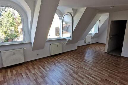 Großzügige 1-Raum-Wohnung in zentraler Lage zu vermieten 1 zimmer