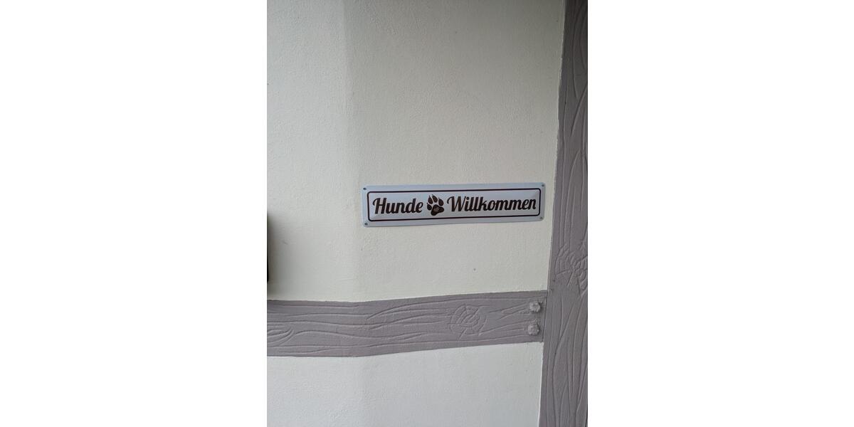 Wohnen auf Zeit Cuxhaven Duhnen - 1 Zimmer, 20 m&sup2;, 39&euro; | Angebot:25888050