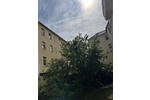 Frisch sanierte Dachgeschoßwohnung in Reinickendorf - 2 Zimmer, sofort bezugsfrei!