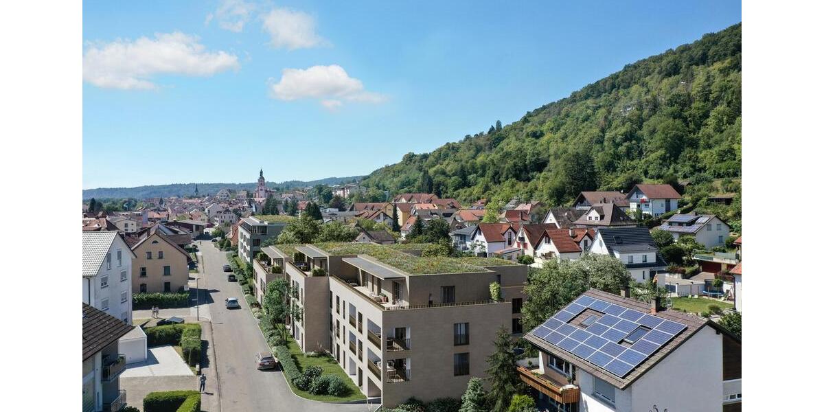 Erdgeschoßwohnung Waldshut-Tiengen Tiengen - 2 Zimmer, 67 m&sup2;, 940&euro; | Angebot:25416484