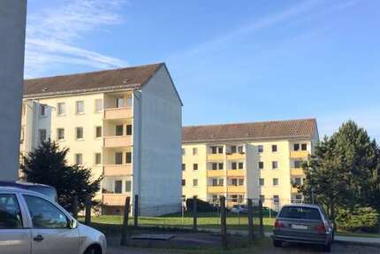Wohnung zum Mieten in Dürrhennersdorf 150 € 30.4 m² 1 zimmer
