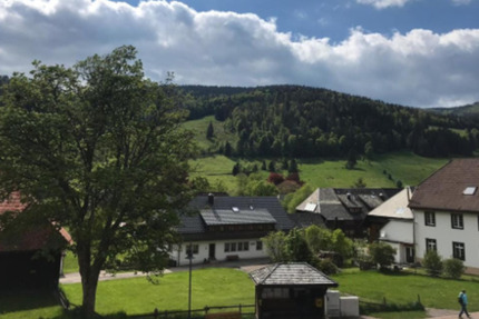 Gewerbeobjekt Baiersbronn - 5.000&euro; | Angebot:25709102