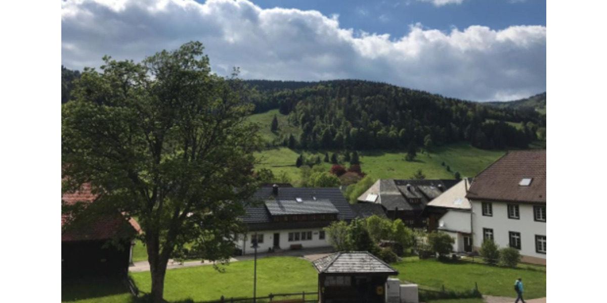 Gewerbeobjekt Baiersbronn - 5.000&euro; | Angebot:25709102