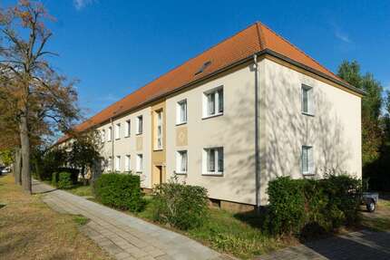 Wohnung zum Mieten in Schönebeck 361,14 € 61.21 m² 3 zimmer
