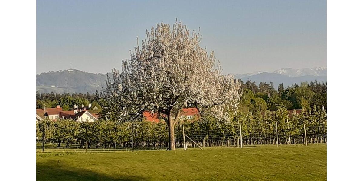 Erdgeschoßwohnung Sigmarszell - 2 Zimmer, 49 m&sup2;, 700&euro; | Angebot:25945316