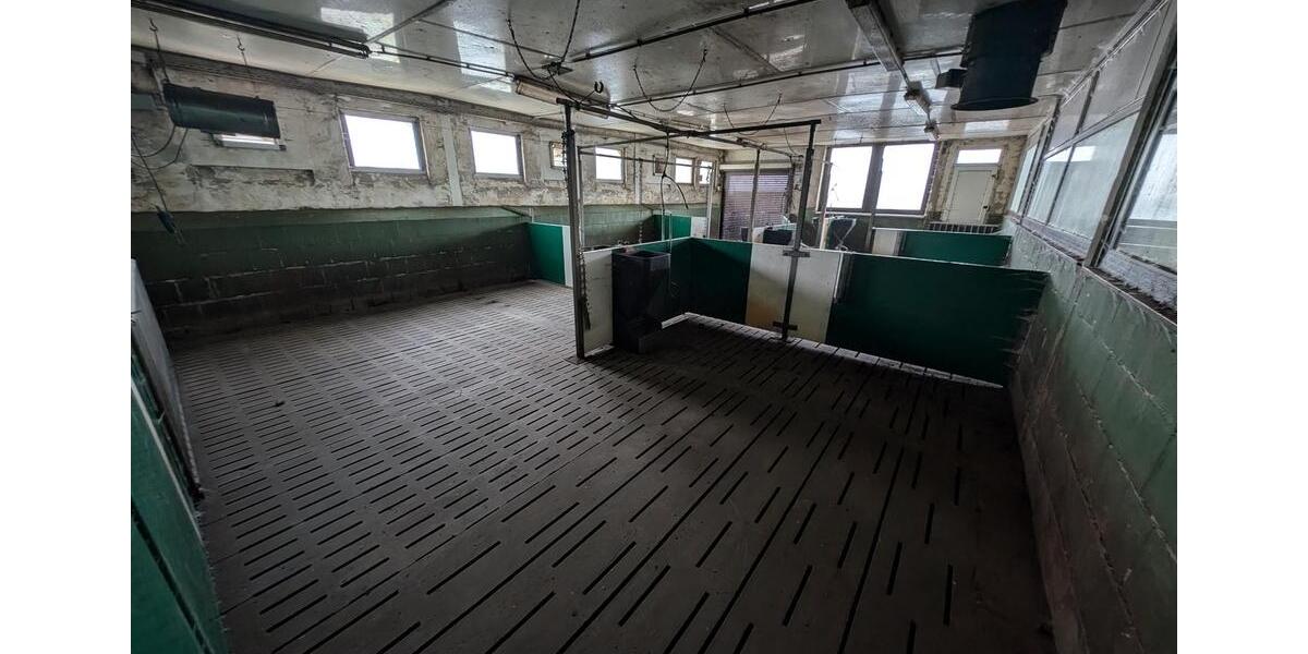 Gewerbeobjekt Jessen (Elster) - 785&euro; | Angebot:24373632