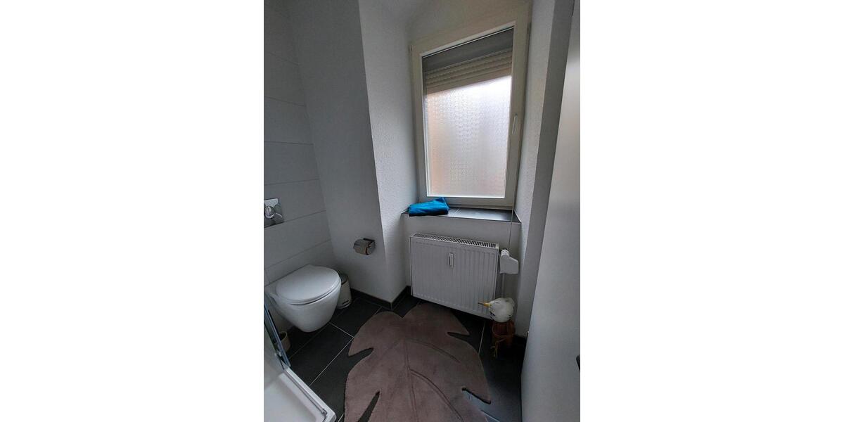 Erdgeschoßwohnung Roßwein - 1 Zimmer, 38 m&sup2;, 300&euro; | Angebot:24994628