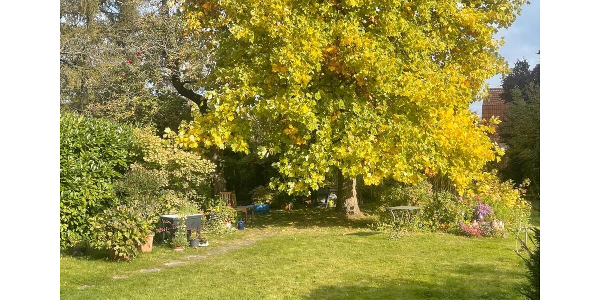 Wohnen auf Zeit Falkensee - 1 Zimmer, 14 m&sup2;, 385&euro; | Angebot:25784650