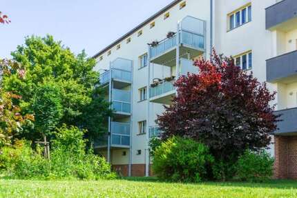 Wohnung zum Mieten in Magdeburg 450 € 60 m² 2 zimmer