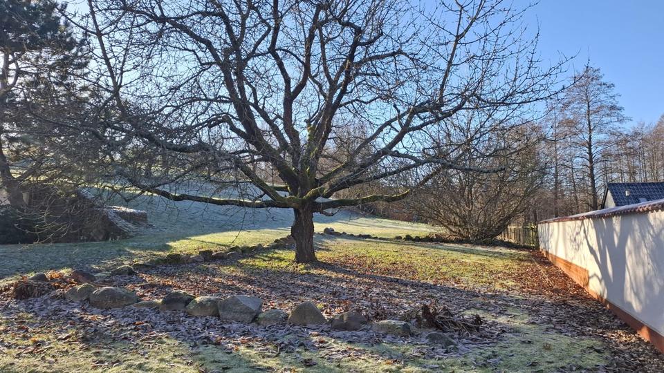 ++FamilienfreundlichesWohnparadies mit großem Grundstück in Neuzelle zu vermieten++ 7 zimmer