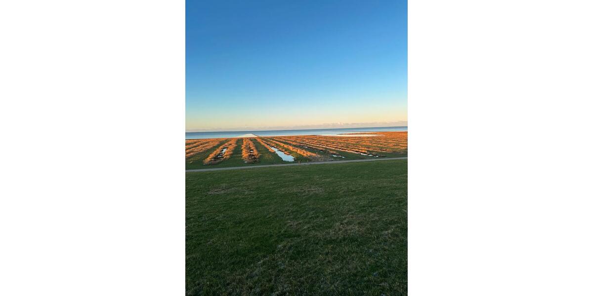 Einfamilienhaus Klanxbüll - 5 Zimmer, 135 m&sup2;, 1.750&euro; | Angebot:25393237