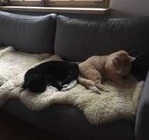 Wohnen auf Zeit Schlehdorf Unterau - 4 Zimmer, 100 m&sup2;, 480&euro; | Angebot:26262824