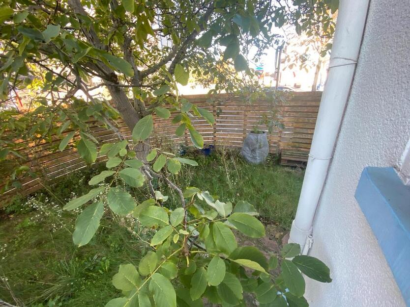 Ein-zwei oder 3 Zimmer-Wohnung in Käfertal, Mannheim zu vermieten zimmer