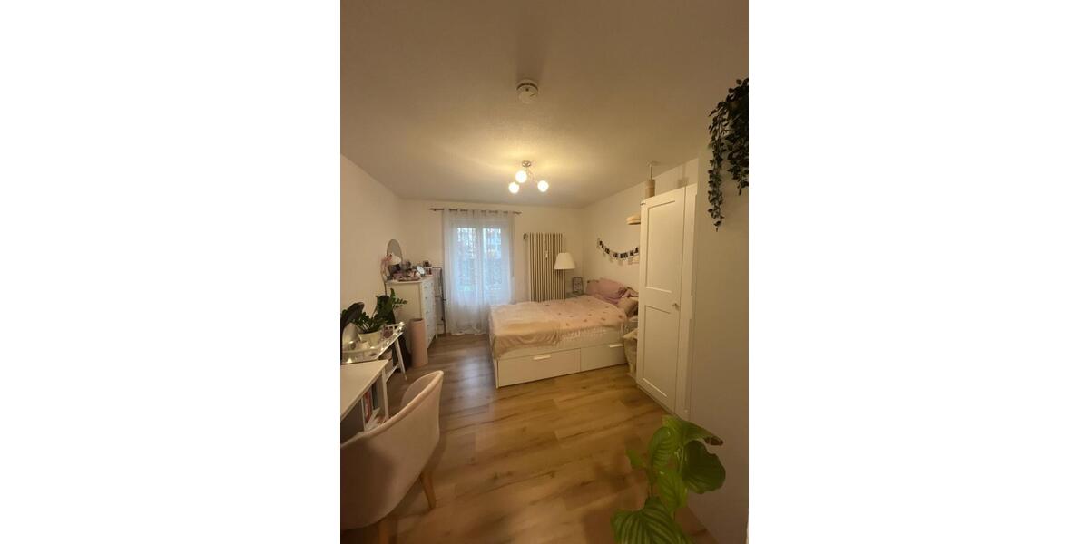 Schönes 1 Zimmer Appartement mit EBK und ruhiger Terrasse ab 1.3. 1 zimmer