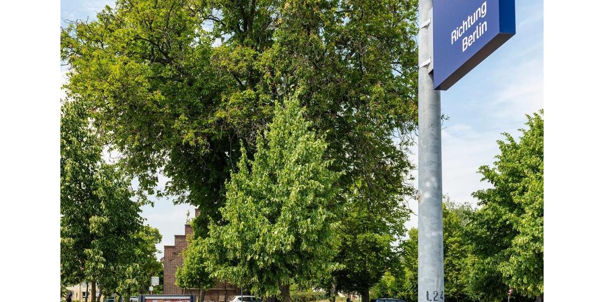 Etagenwohnung Löwenberger Land - 2 Zimmer, 60 m&sup2;, 742&euro; | Angebot:24539522