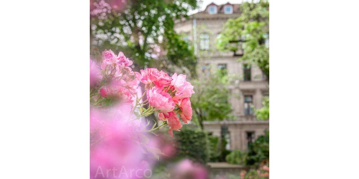 Gewerbeobjekt Fürth Innenstadt - 3.000&euro; | Angebot:25874574