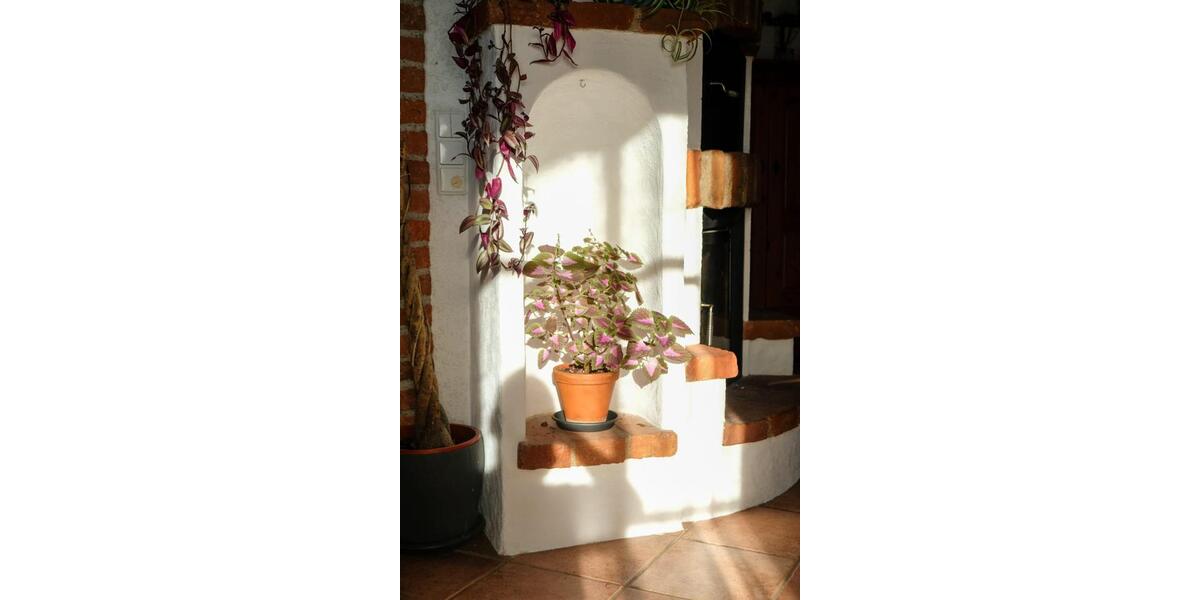 Etagenwohnung Holzkirchen - 1 Zimmer, 15 m&sup2;, 570&euro; | Angebot:25022788