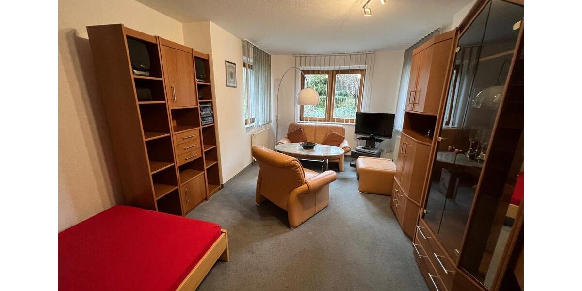 Modern möbliertes Apartment in Top-Lage von Zeitz zu vermieten 1 zimmer