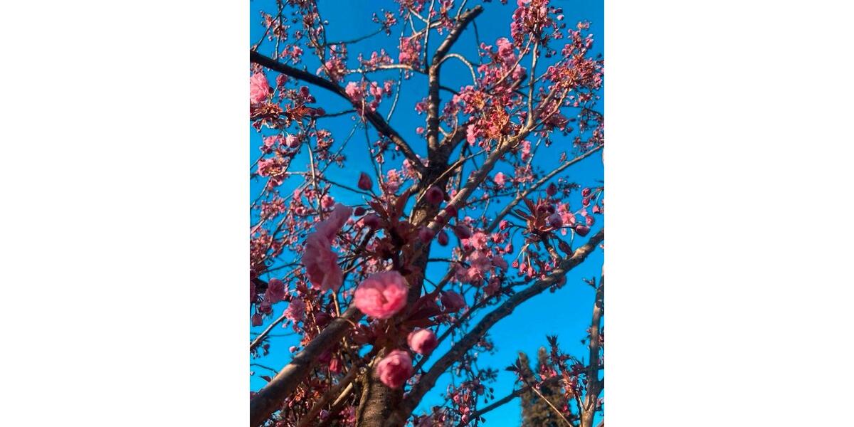 Erdgeschoßwohnung Versmold - 2.5 Zimmer, 52 m&sup2;, 550&euro; | Angebot:24862647