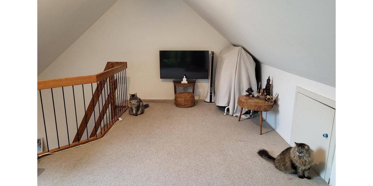 Wohnen auf Zeit Monheim am Rhein - 1.5 Zimmer, 30 m&sup2;, 650&euro; | Angebot:24495961