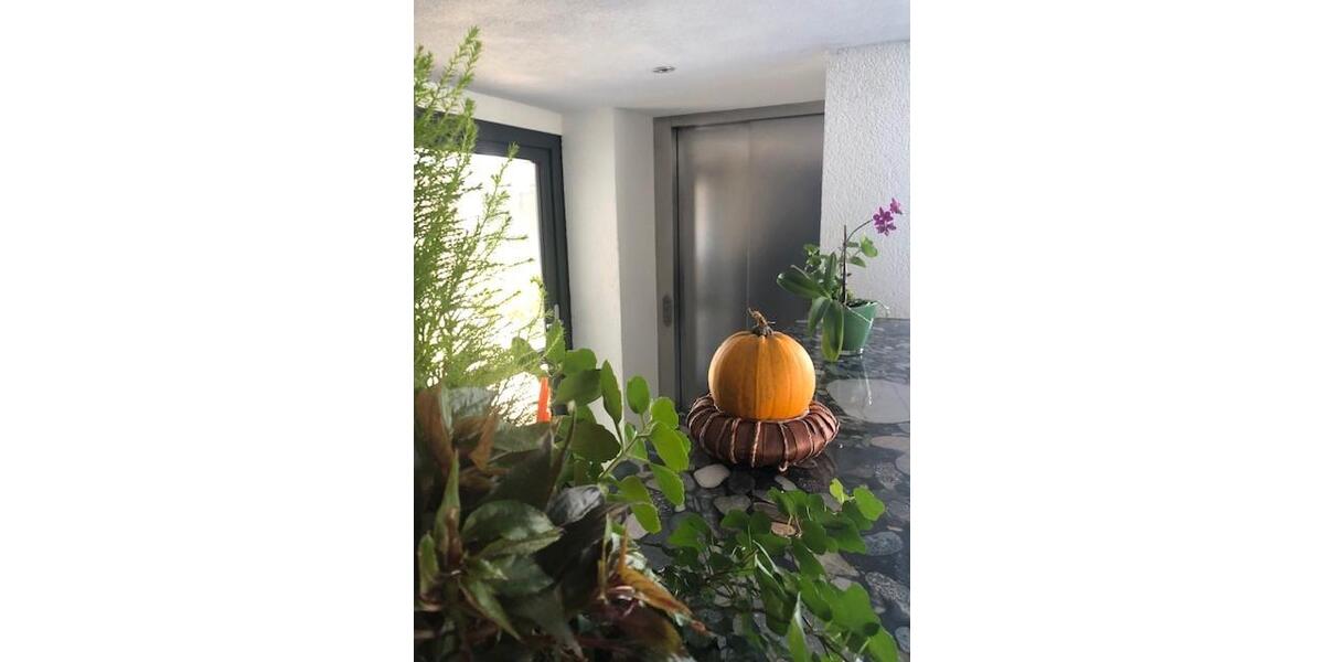 Etagenwohnung Bodman-Ludwigshafen Ludwigshafen - 3 Zimmer, 58 m&sup2;, 1.150&euro; | Angebot:25413144