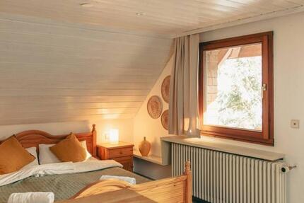 Großzügige Ein-Zimmer-Wohnung mit Einbauküche und Balkon