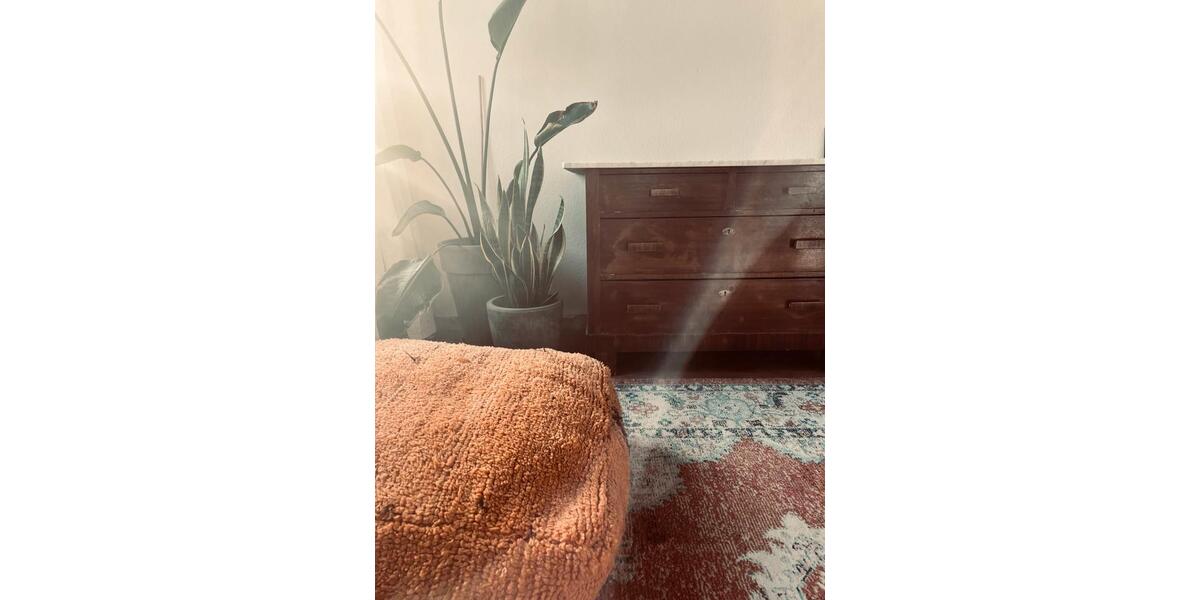 Terrassenwohnung Mannheim - 1 Zimmer, 70 m&sup2;, 1.050&euro; | Angebot:26572388