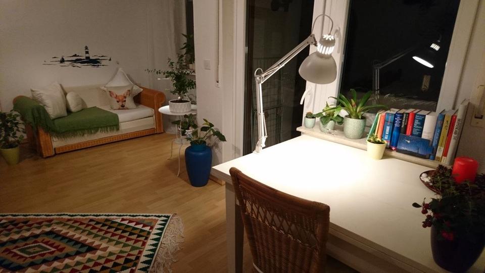 Etagenwohnung Paderborn - 1 Zimmer, 40 m&sup2;, 420&euro; | Angebot:26285669