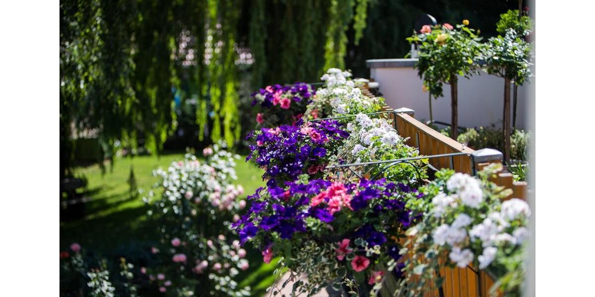 Wunderschöne 5 Zimmerwohnung in Strausberg Altstadt zu vermieten 5 zimmer