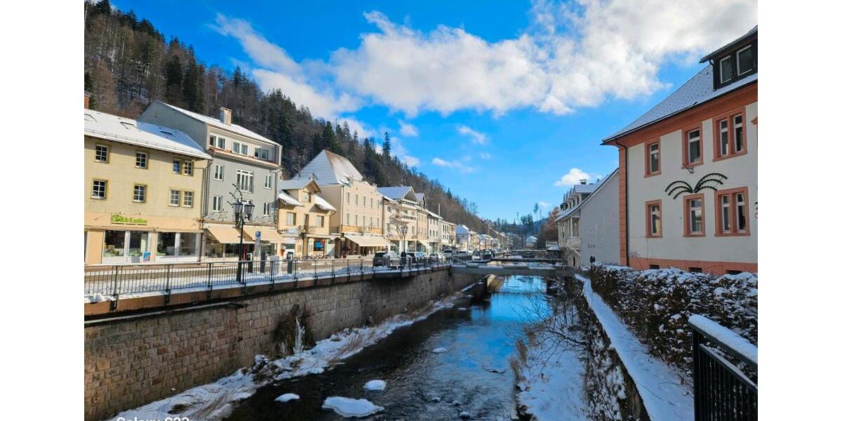 Etagenwohnung Höchenschwand - 1 Zimmer, 35 m&sup2;, 575&euro; | Angebot:24744044