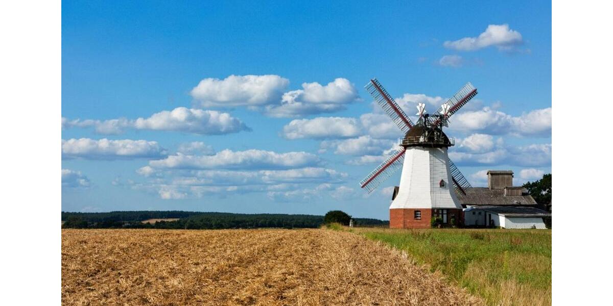 Gewerbeobjekt Salzhausen - 3.500&euro; | Angebot:16293745