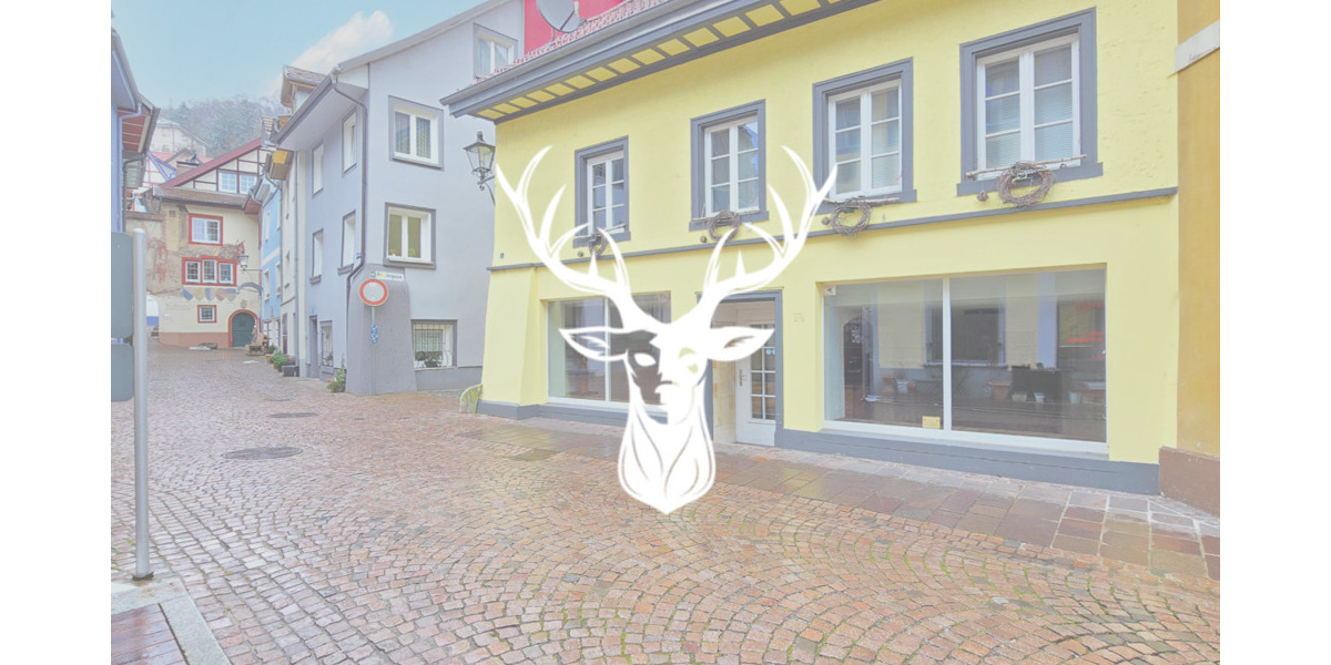 Gewerbeobjekt Waldshut-Tiengen Tiengen - 980&euro; | Angebot:24517234