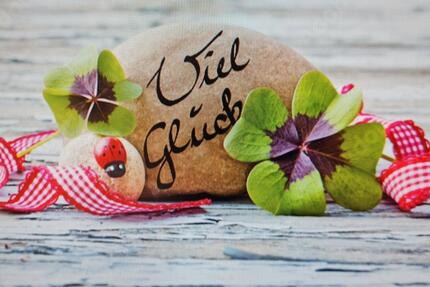 Wohnung Magdeburg Alt Olvenstedt - 1 Zimmer, 35 m&sup2;, 195&euro; | Angebot:26235253