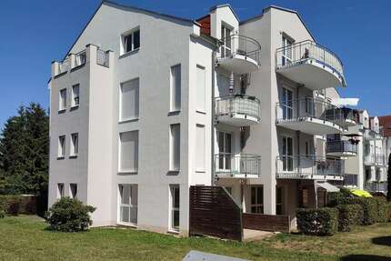 Wohnung zum Mieten in Frankenberg (OT Dittersbach) 220 € 38.8 m² 1 zimmer