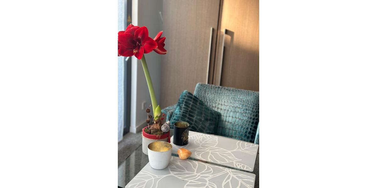 Wohnen auf Zeit Karlsruhe Durlach - 1 Zimmer, 45 m&sup2;, 1.390&euro; | Angebot:25173804