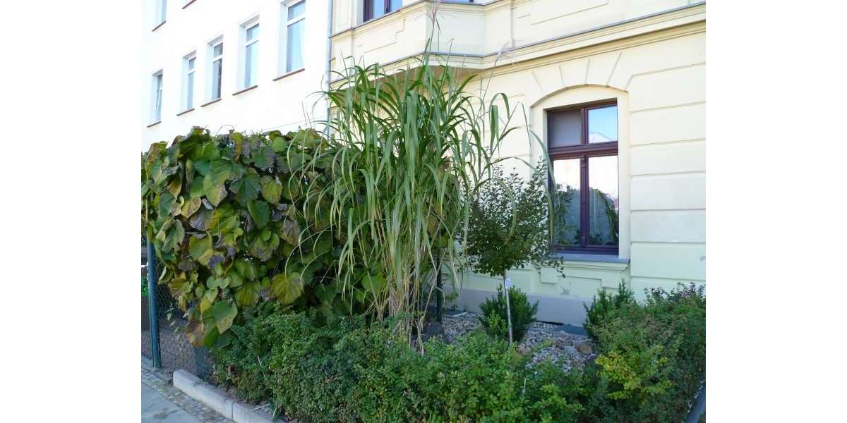 Etagenwohnung Magdeburg Sudenburg - 4 Zimmer, 109 m&sup2;, 780&euro; | Angebot:26472329