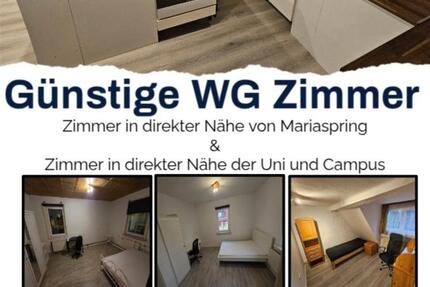 Wohnung Clausthal-Zellerfeld Wildemann - 1 Zimmer, 15 m&sup2;, 250&euro; | Angebot:24876379