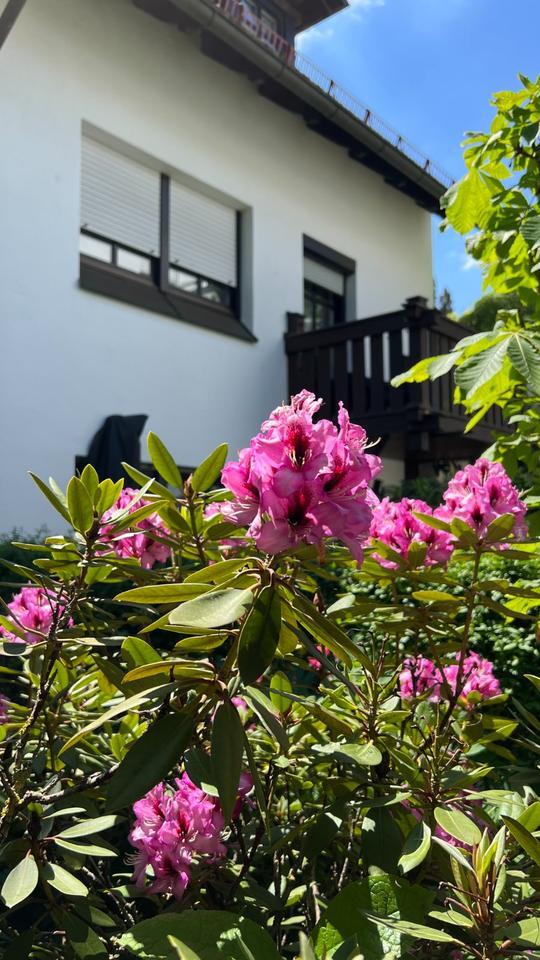 Wohnen am Rosengarten ruhig, elegant, zentral - Doppelhaushälfte