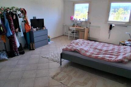 Wohnen auf Zeit Albersweiler - 1 Zimmer, 20 m&sup2;, 480&euro; | Angebot:26005487