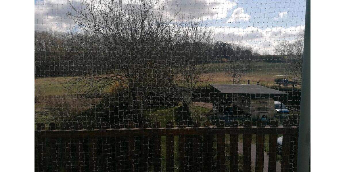 Etagenwohnung Lützen - 1 Zimmer, 78 m&sup2;, 780&euro; | Angebot:25943681