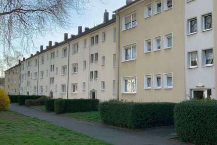 Wohnung Duisburg - 2 Zimmer, 50 m&sup2;, 519&euro; | Angebot:26763199