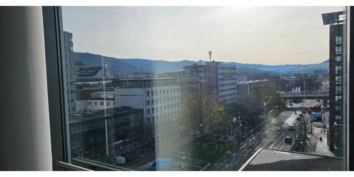 Gewerbeobjekt Freiburg im Breisgau Altstadt - 1 Zimmer, 249 m&sup2;, 4.100&euro; | Angebot:25706366