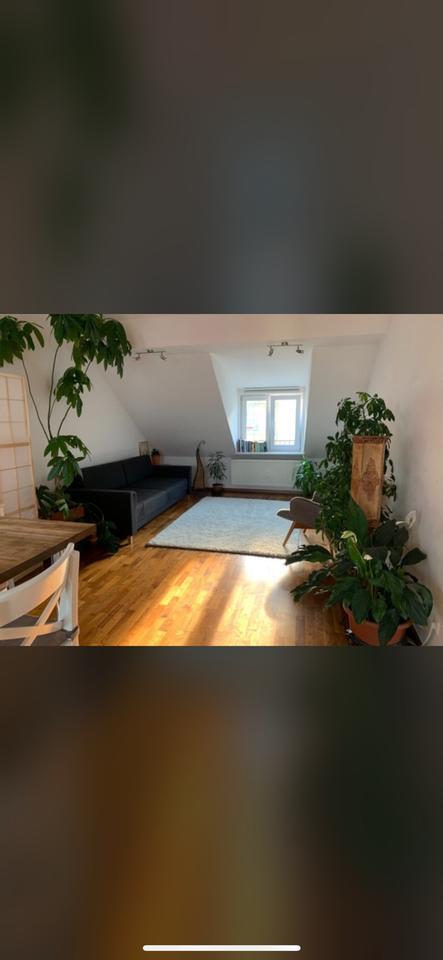 Goetheplatz: Zimmer in möbilierter vegetarischer WG zimmer