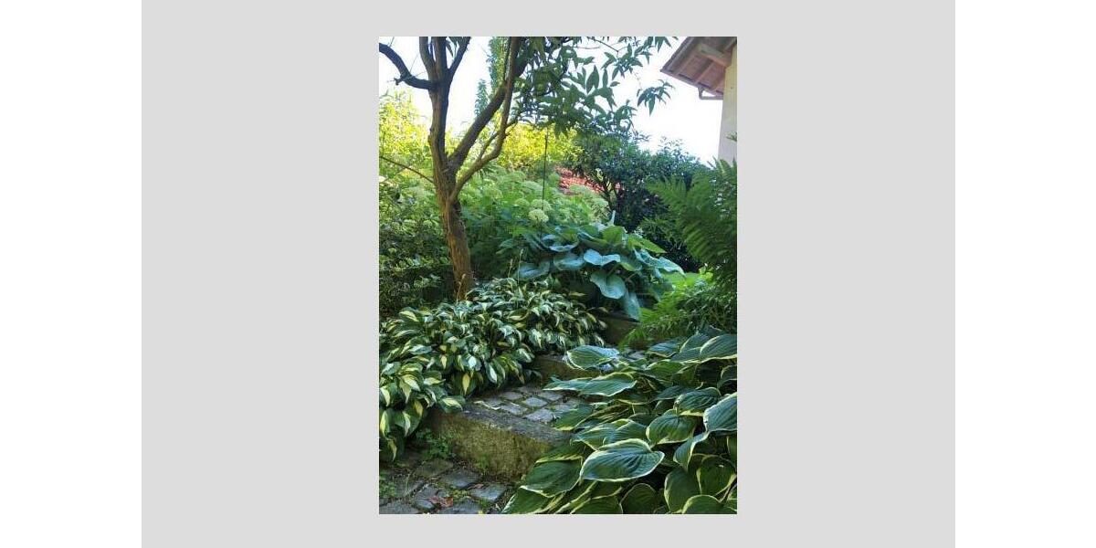 Doppelhaushälfte Burghausen - 5 Zimmer, 155 m&sup2;, 1.850&euro; | Angebot:26634674